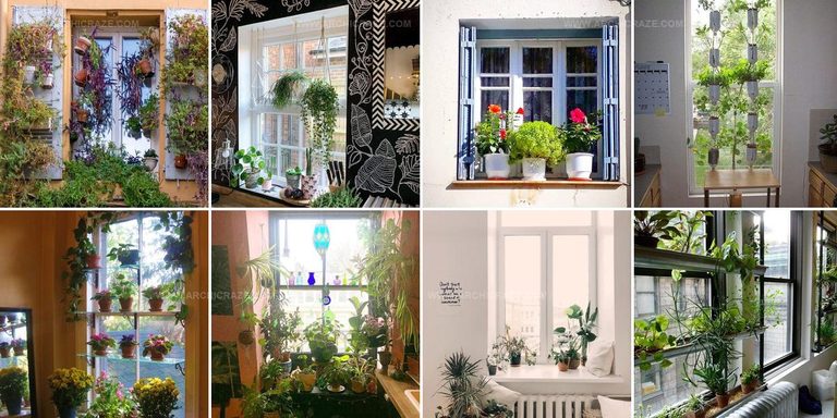 2801553 Window Garden Ideas