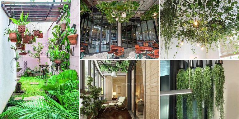 3864508 Plant Ceiling Ideas