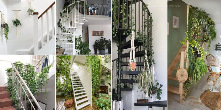 6128493 Indoor Staircase Vine Ideas