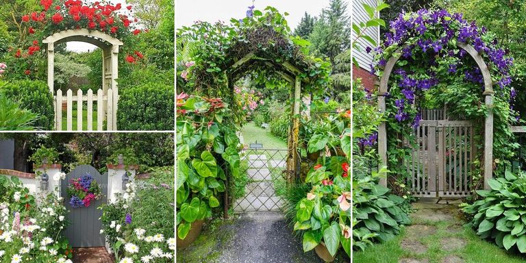 9046661 Garden Entrance Door Ideas