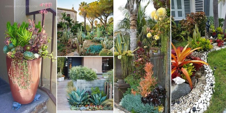 9058535 Succulent Entrance Ideas