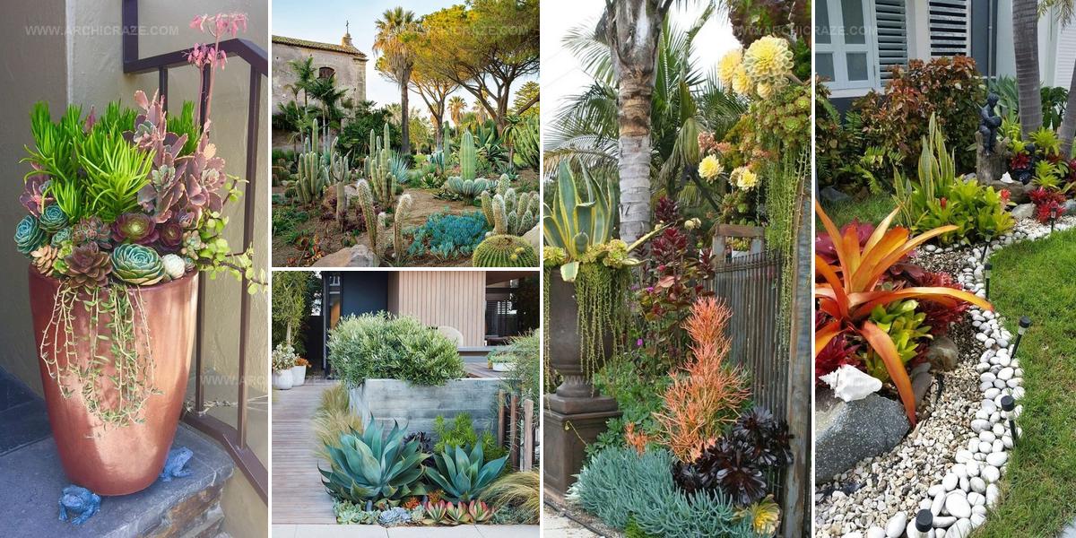 9058535 Succulent Entrance Ideas