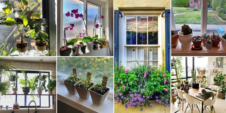 5268437 Window Garden And Landscape Ideas