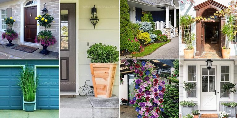 6838507 Entrance Plant Ideas