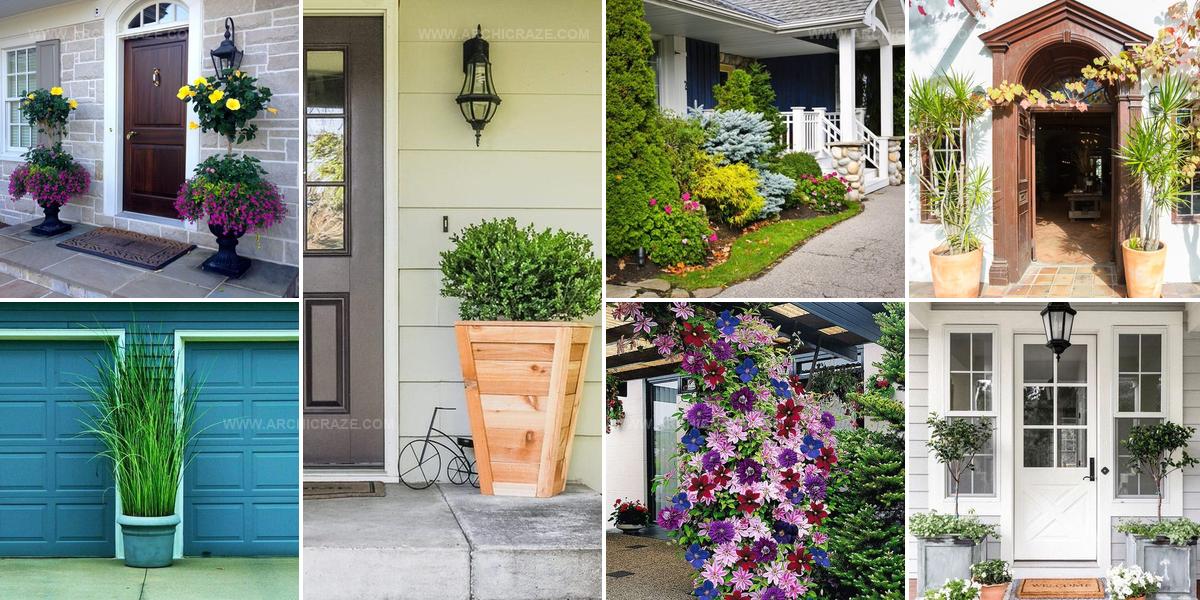 6838507 Entrance Plant Ideas