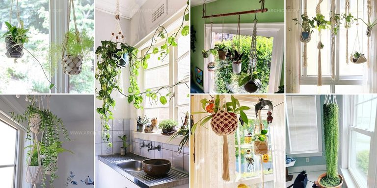 6960366 Hanging Plant Window Ideas