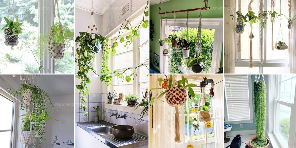 6960366 Hanging Plant Window Ideas