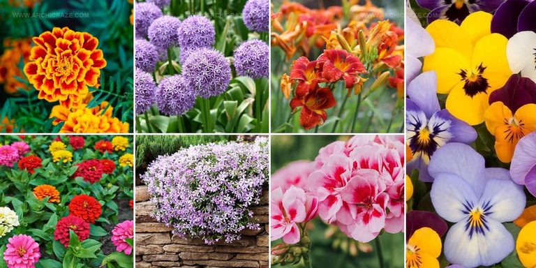 3884712 Front Door Plant Styles
