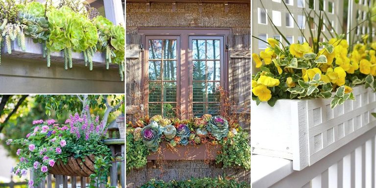 8689421 Window Box Planter Inspiration