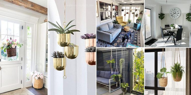 8597922 Hanging Indoor Plant Entrance Ideas
