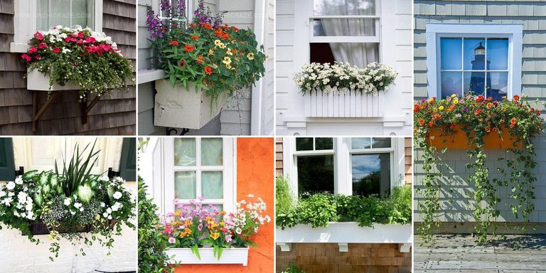 8941262 Window Box Inspiration