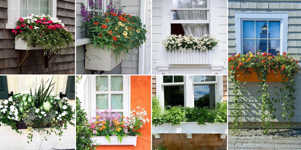 8941262 Window Box Inspiration