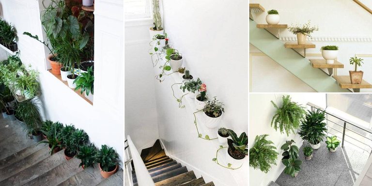 7520919 Staircase Indoor Garden Ideas