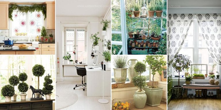 5005065 Greenery Window Decor Ideas