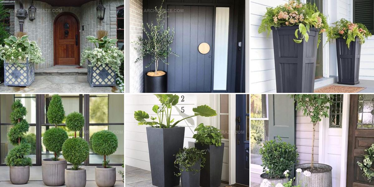 2086926 Front Door Container Ideas